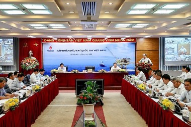 Thủ tướng Phạm Minh Chính làm việc với Tập đoàn Dầu khí Việt Nam