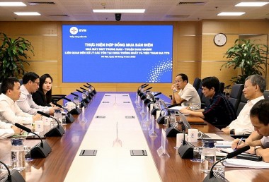 Trungnam Group và EVN bàn tháo gỡ bế tắc tại Nhà máy điện mặt trời Thuận Nam