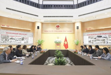 WB đồng hành cùng Việt Nam trong triển khai Quy hoạch điện VIII