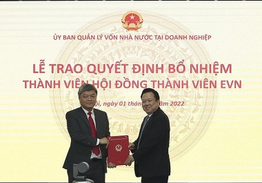 Bổ nhiệm ông Võ Hồng Lĩnh làm Thành viên HĐTV Tập đoàn Điện lực Việt Nam
