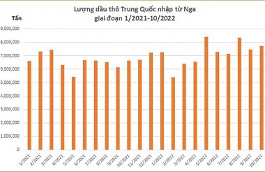 Trung Quốc có tăng nhập dầu mỏ giá rẻ từ Nga?