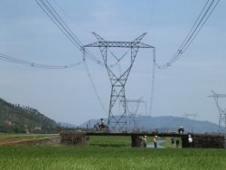 Thủ tướng yêu cầu tỉnh Bình Phước tạo điều kiện đẩy nhanh tiến độ các dự án cấp điện cho miền Nam